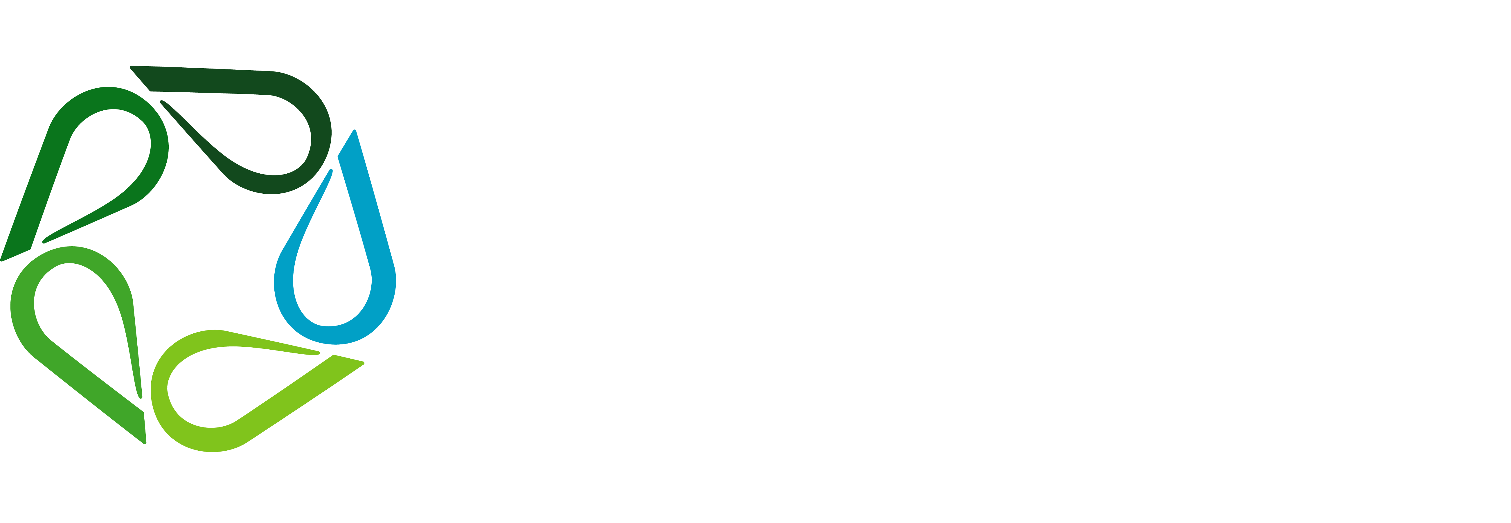 Global Hydromulching Network