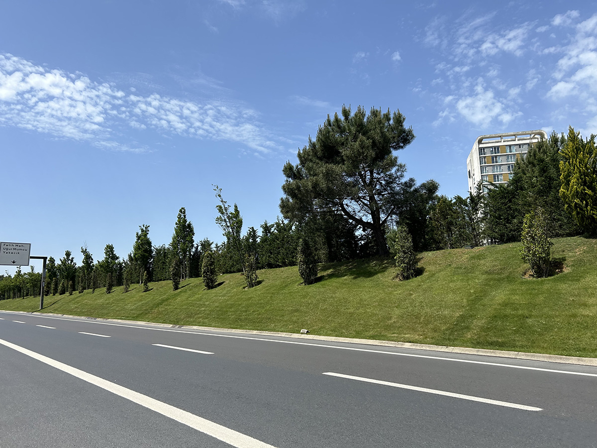 Erosion protection and bioengineering